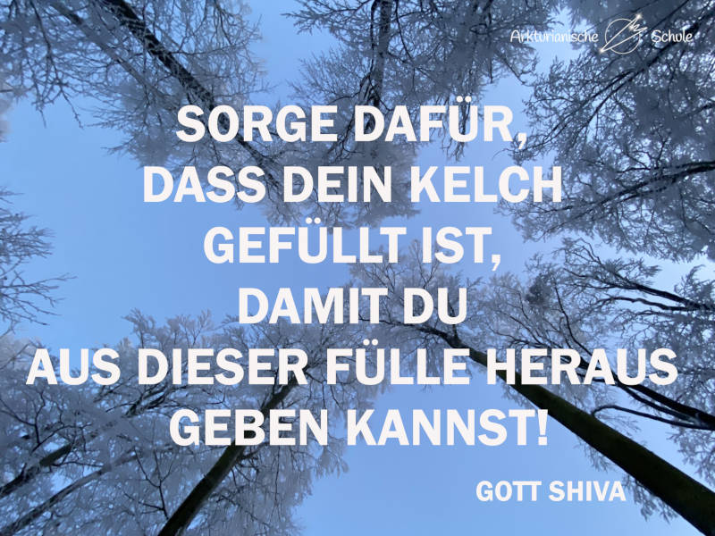 Bild Winterlandschaft mit Text:Sorge dafür, dass dein Kelch gefüllt ist, damit du aus dieser Fülle heraus geben kannst!