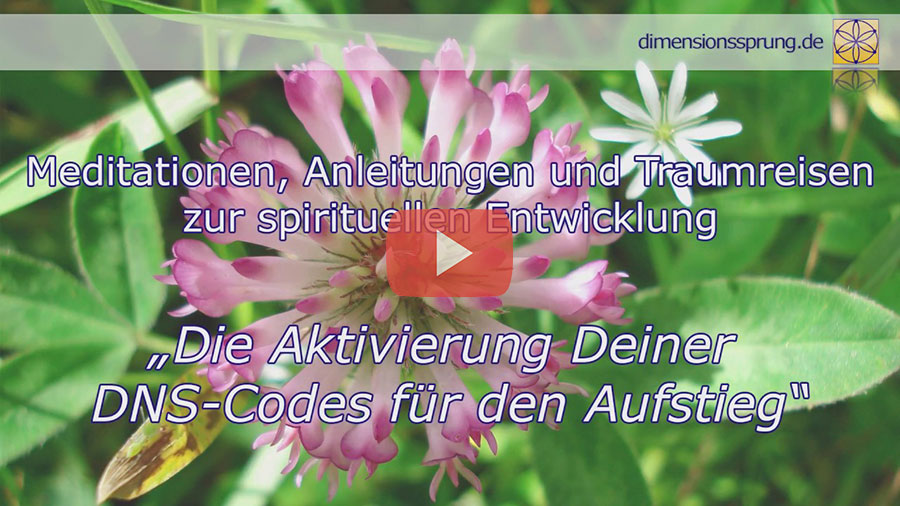 Die Aktivierung Deiner DNS-Codes für den Aufstieg