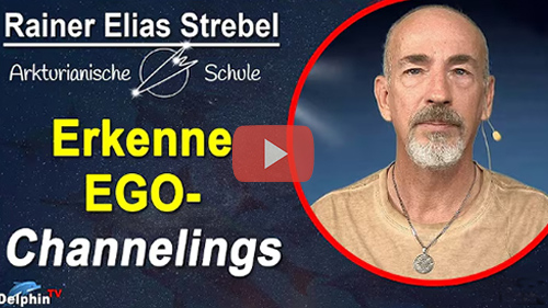 Titelbild Youtube Delphin TV Interview 17.11.2025